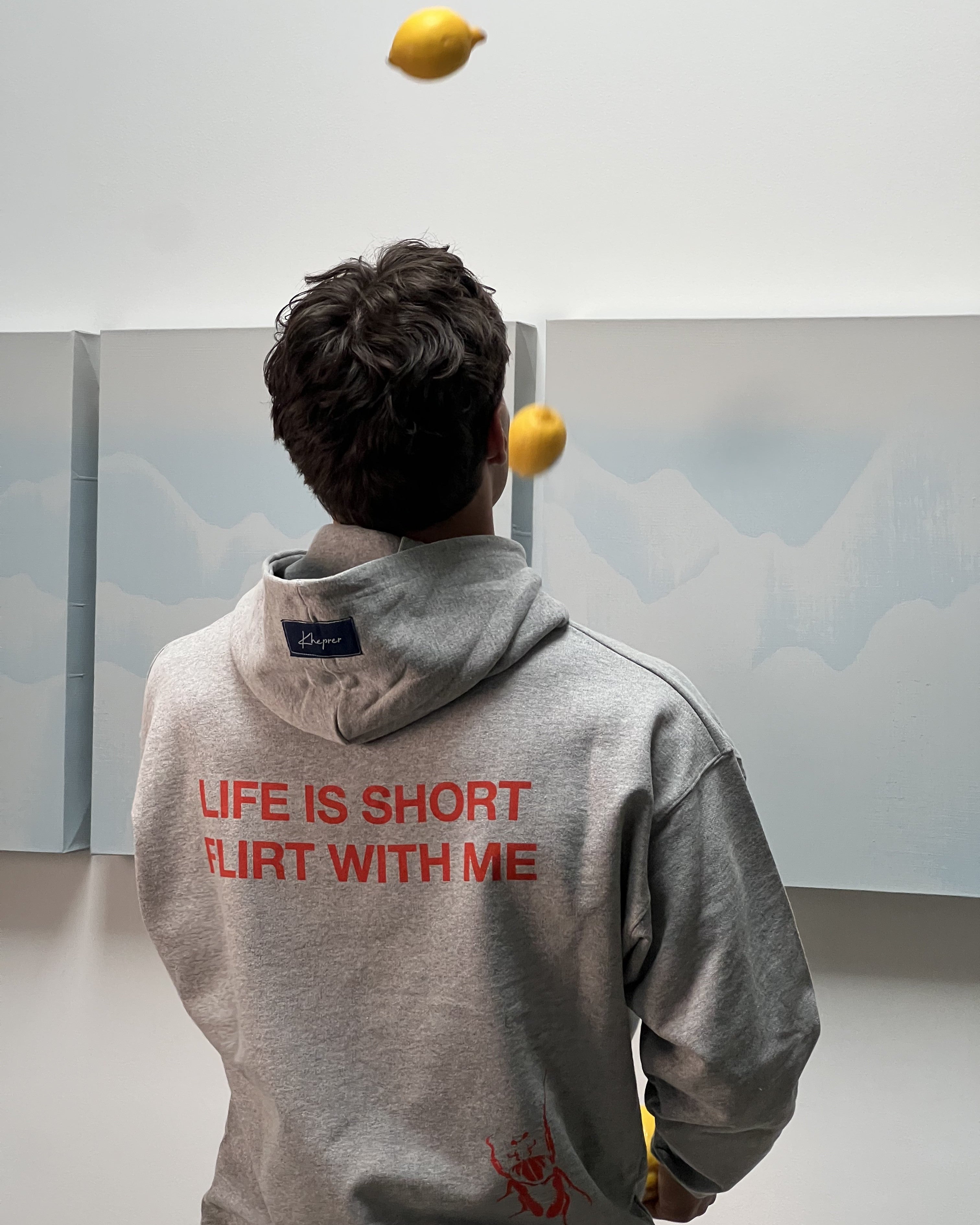 Flirt Hoodie Grey
